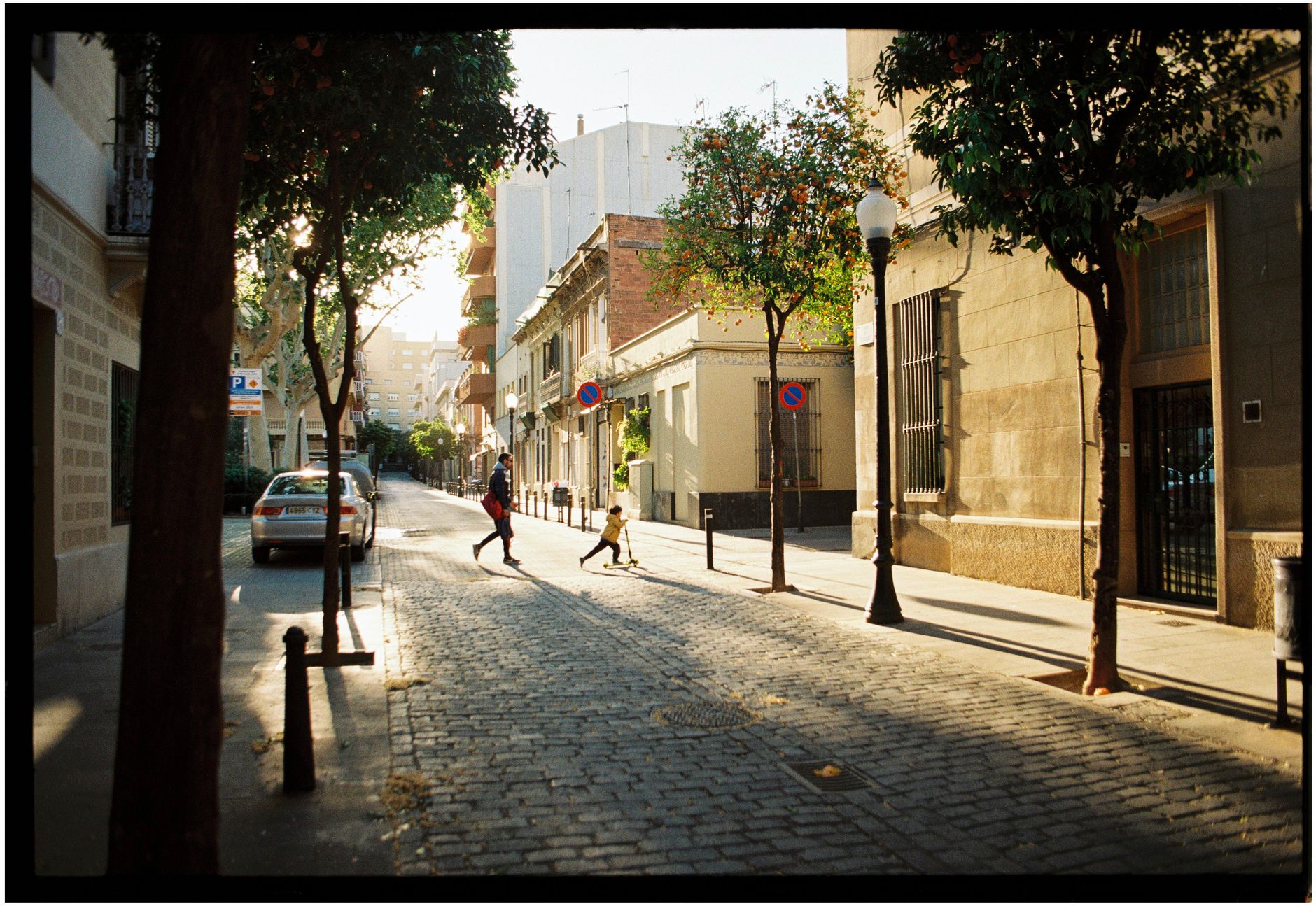 A family walking together along a quiet tree-lined residential street