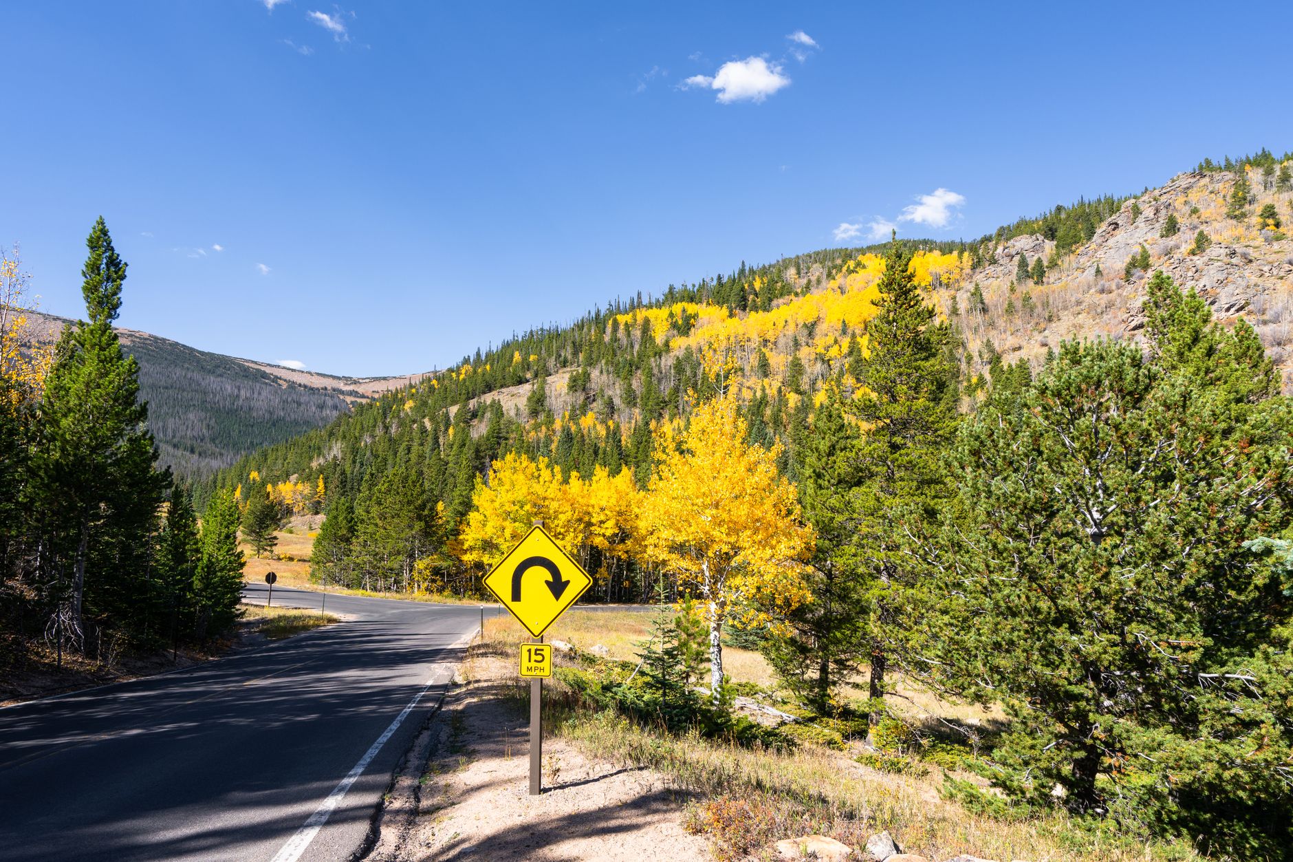 A winding mountain scenic byway curving through aspen and pine forest