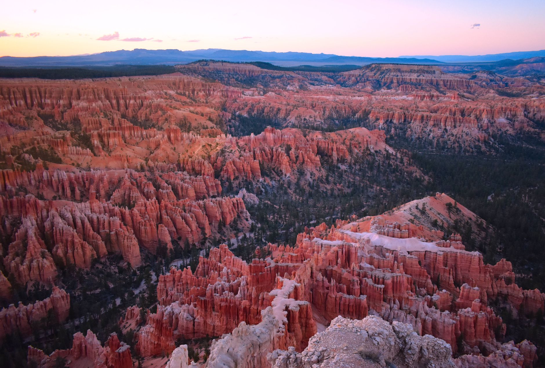 Dramatic red rock hoodoo spire formations against a forested mountain backdrop