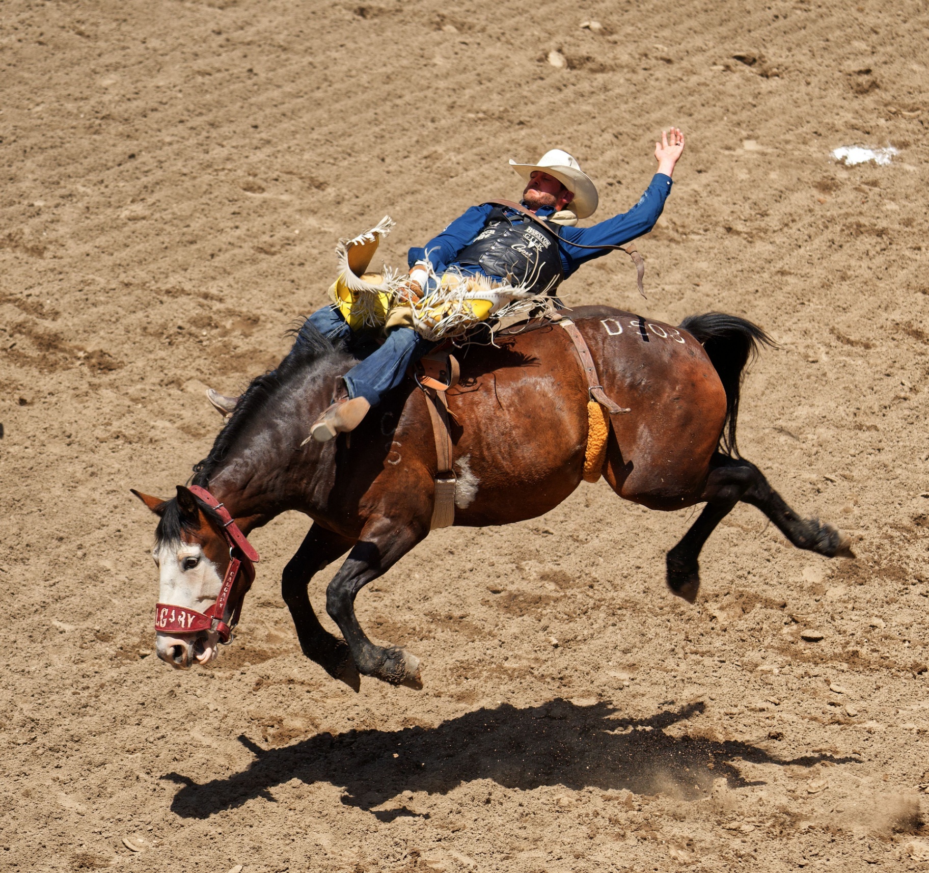 A cowboy on a bucking bronco kicking up dust under arena lights at a Western rodeo