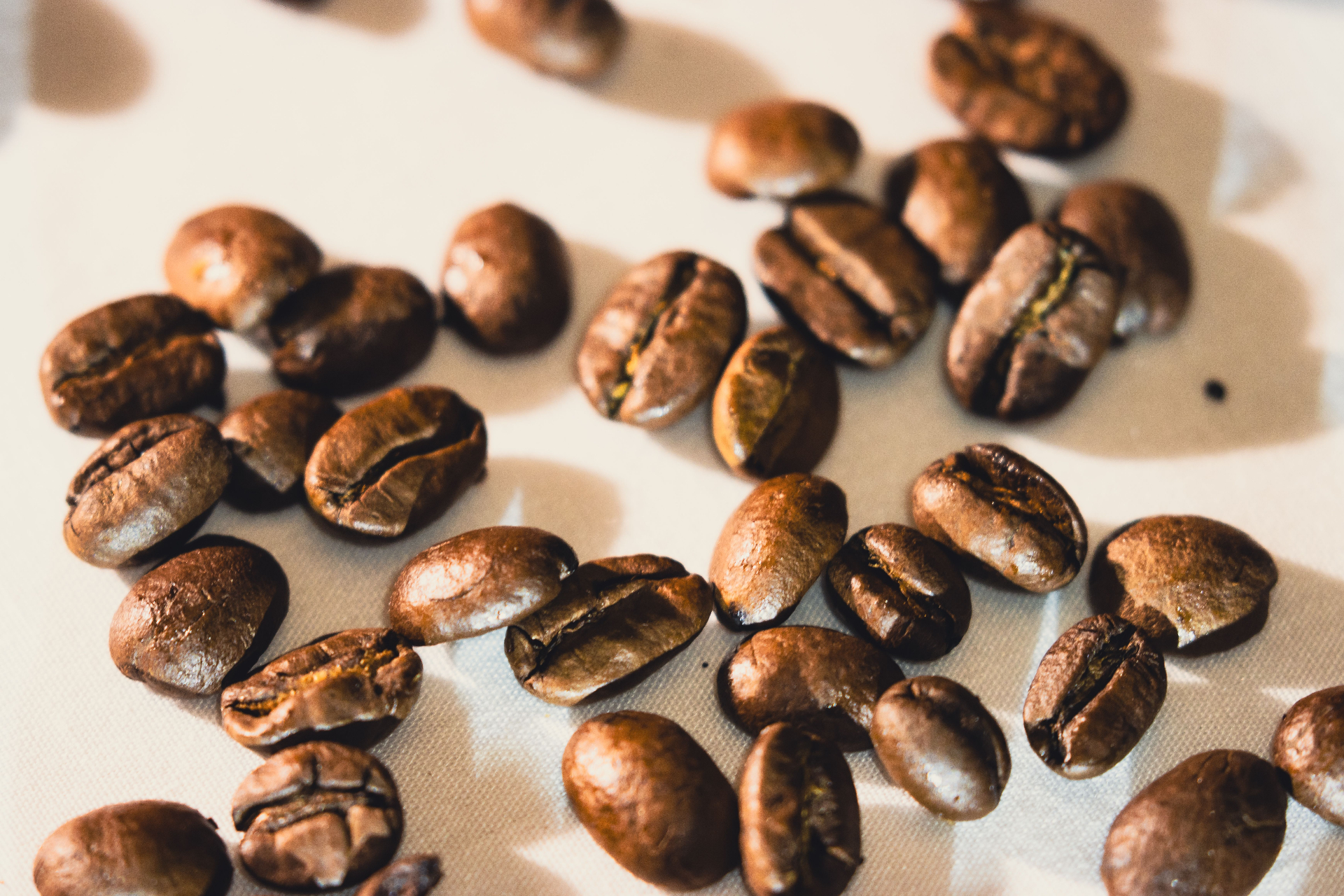 The Haven Coffee House — Nephi's Best Cup of Coffee That Most People Drive Right Past
