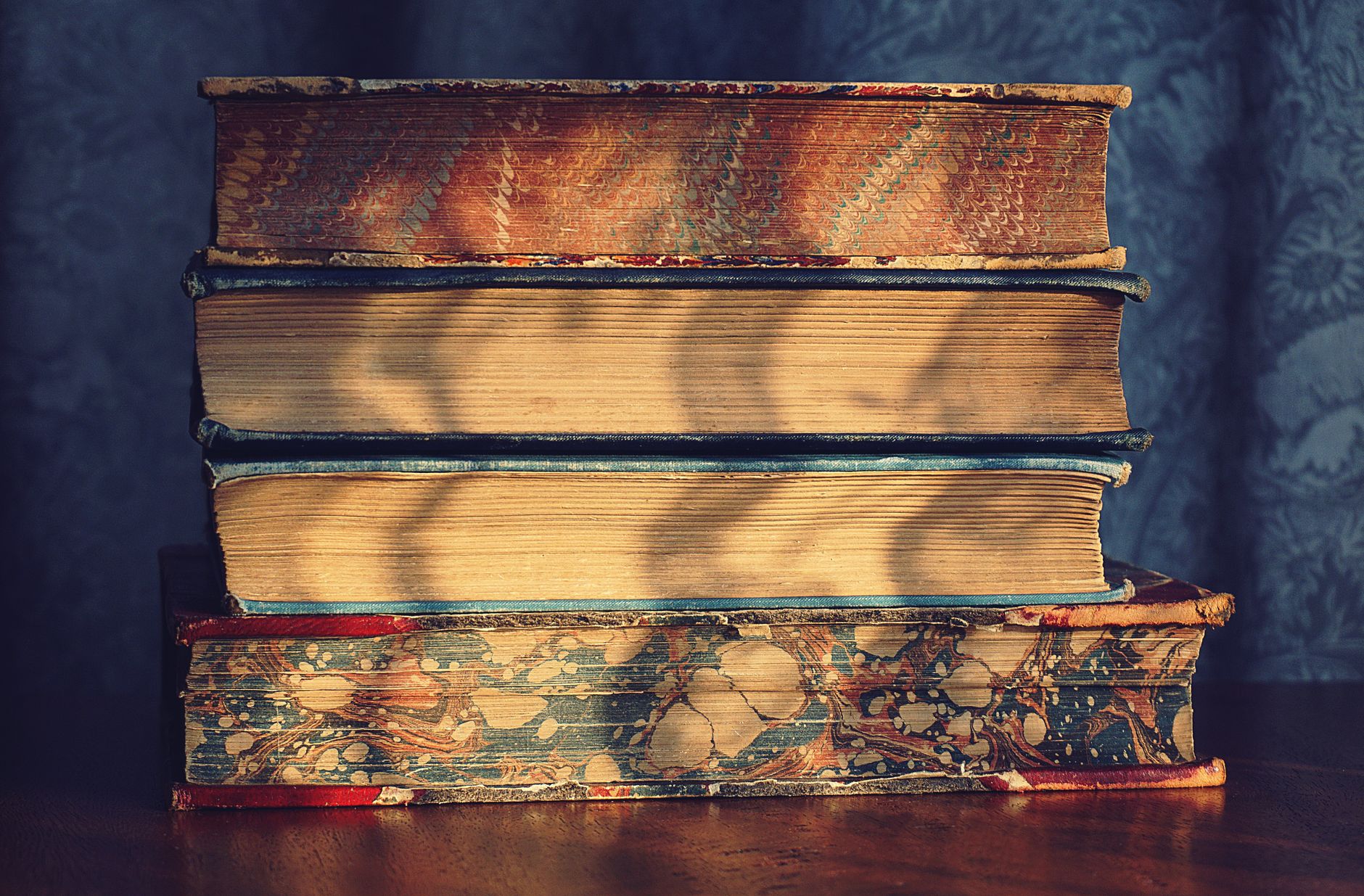 Poppy Books & Gifts — A Bookstore Worth the Drive, Set Inside a Converted Craftsman House