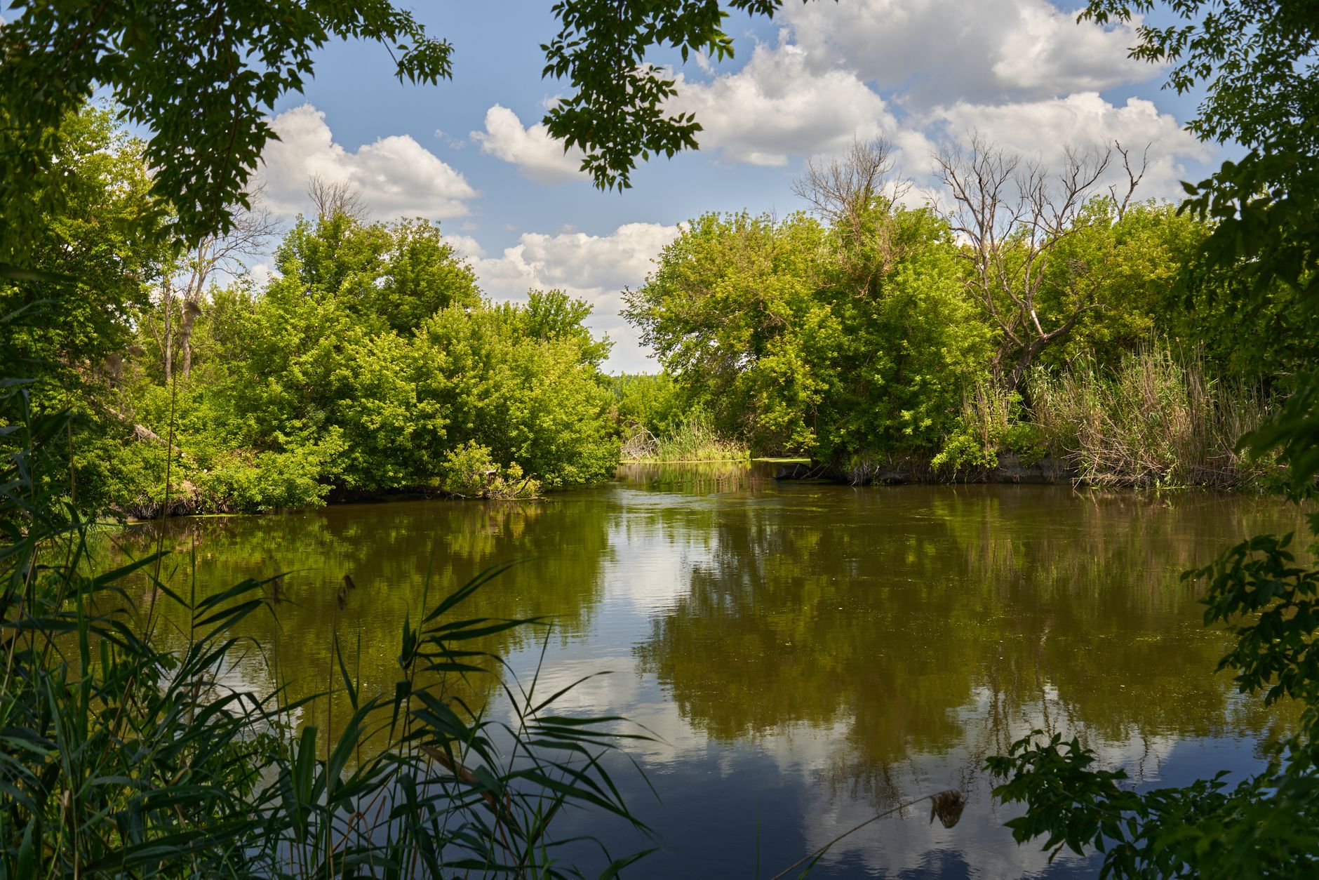 Burraston Ponds in Mona, Utah — What to Know Before You Go