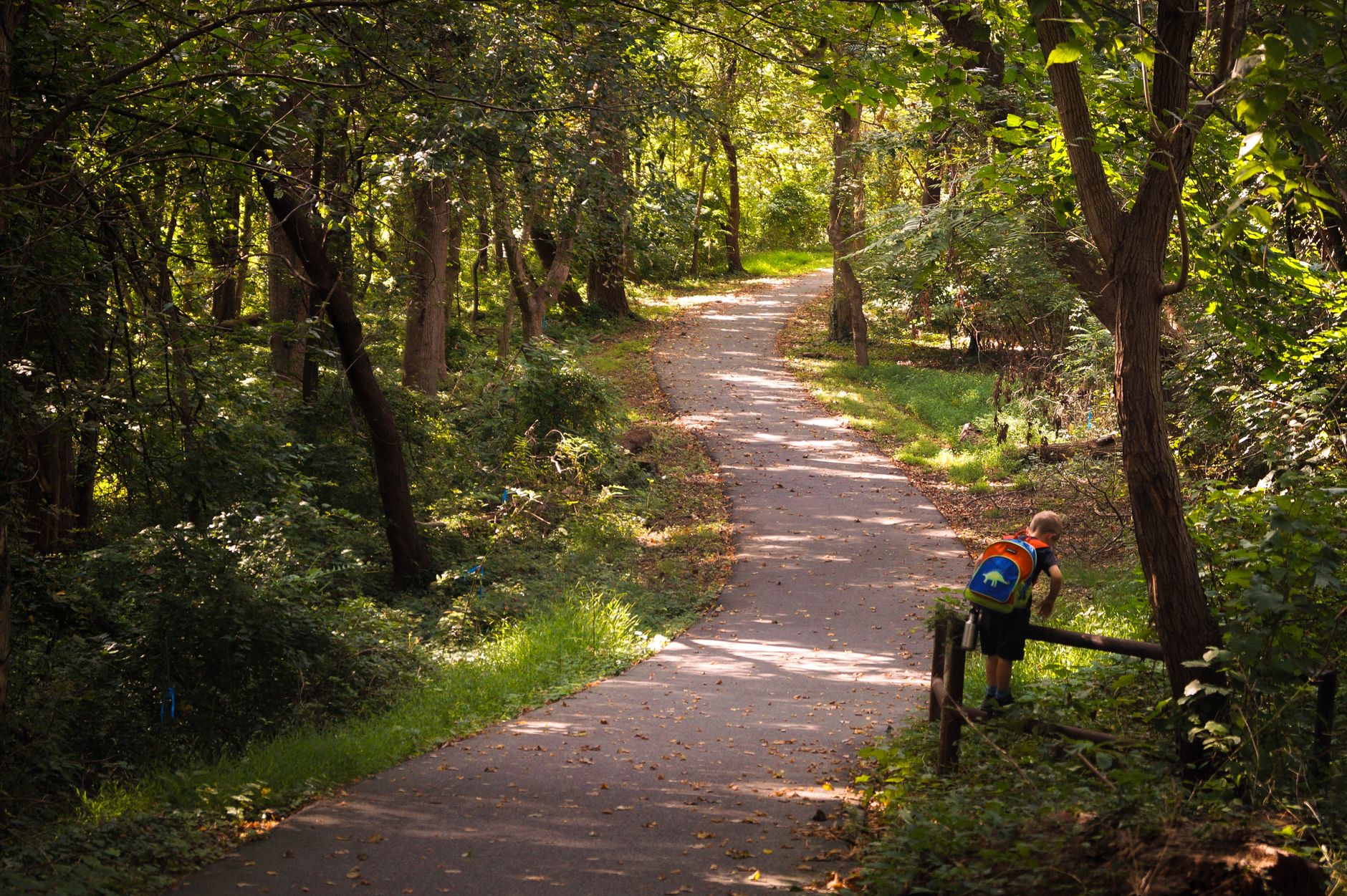 A flat paved trail with tree shade running along a river