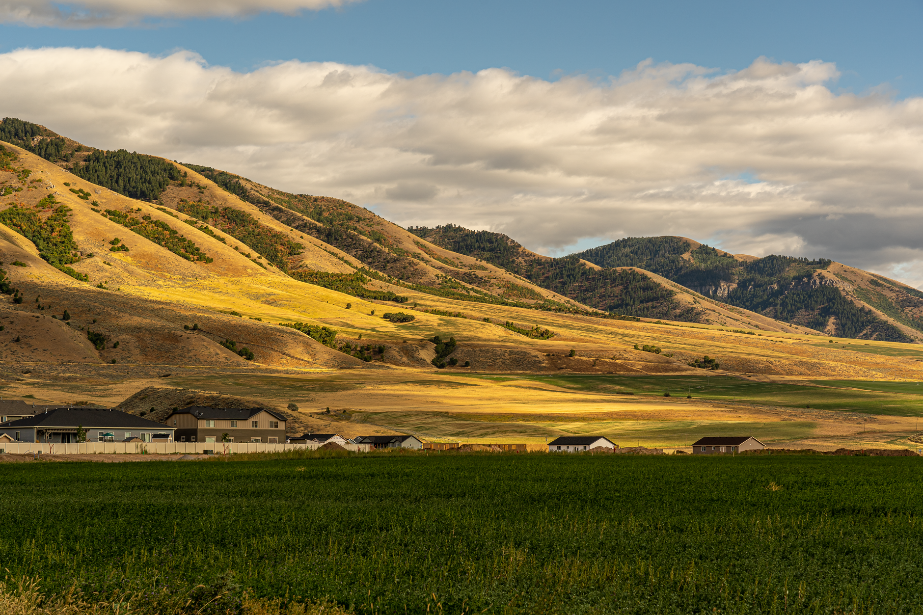 Buying a Home With a Septic System? What Rural Utah Buyers Need to Know First