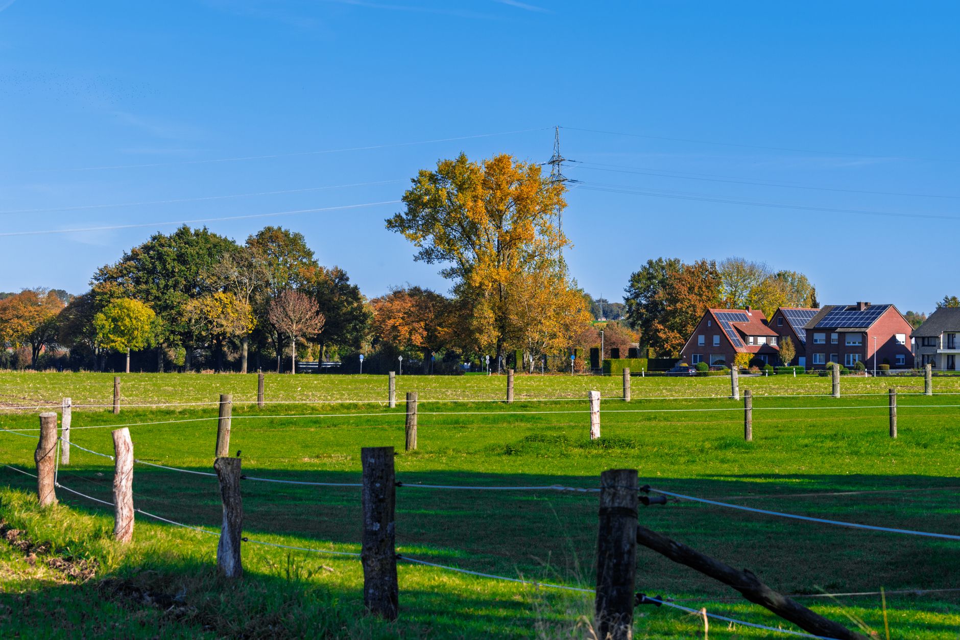 An open rural grass field on a quiet country property