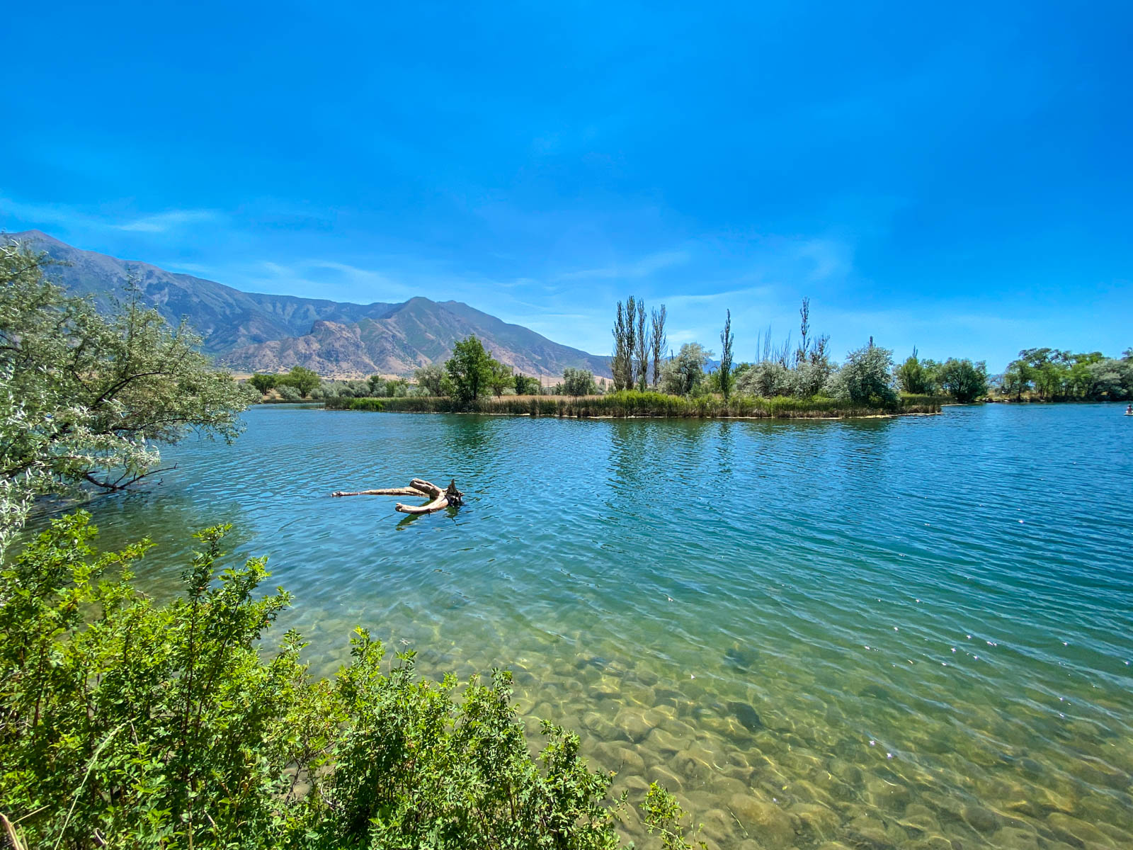 Clear turquoise water of Burraston Ponds with mountains and willows along the shoreline near Mona, Utah